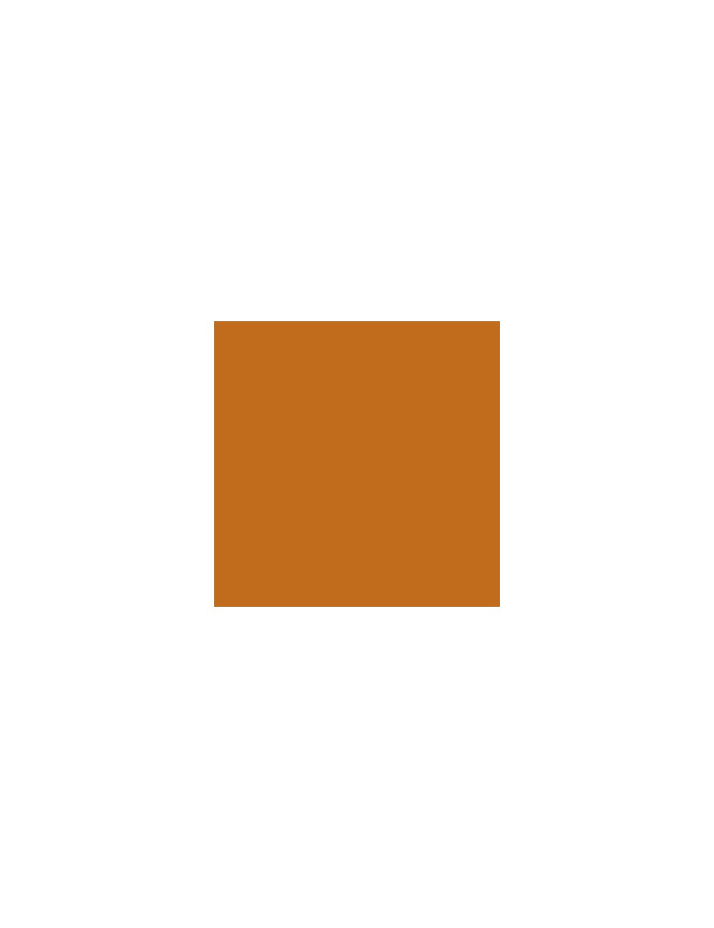 chocolate fudge  SS-24  2 oz  6 units case