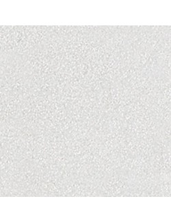 shimmering silver SS-081  2 oz  6 units case