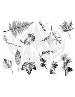 Plantilla seda DSS-0110 arbol.