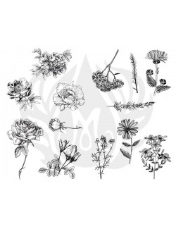 Plantilla seda DSS-0111 hojas.