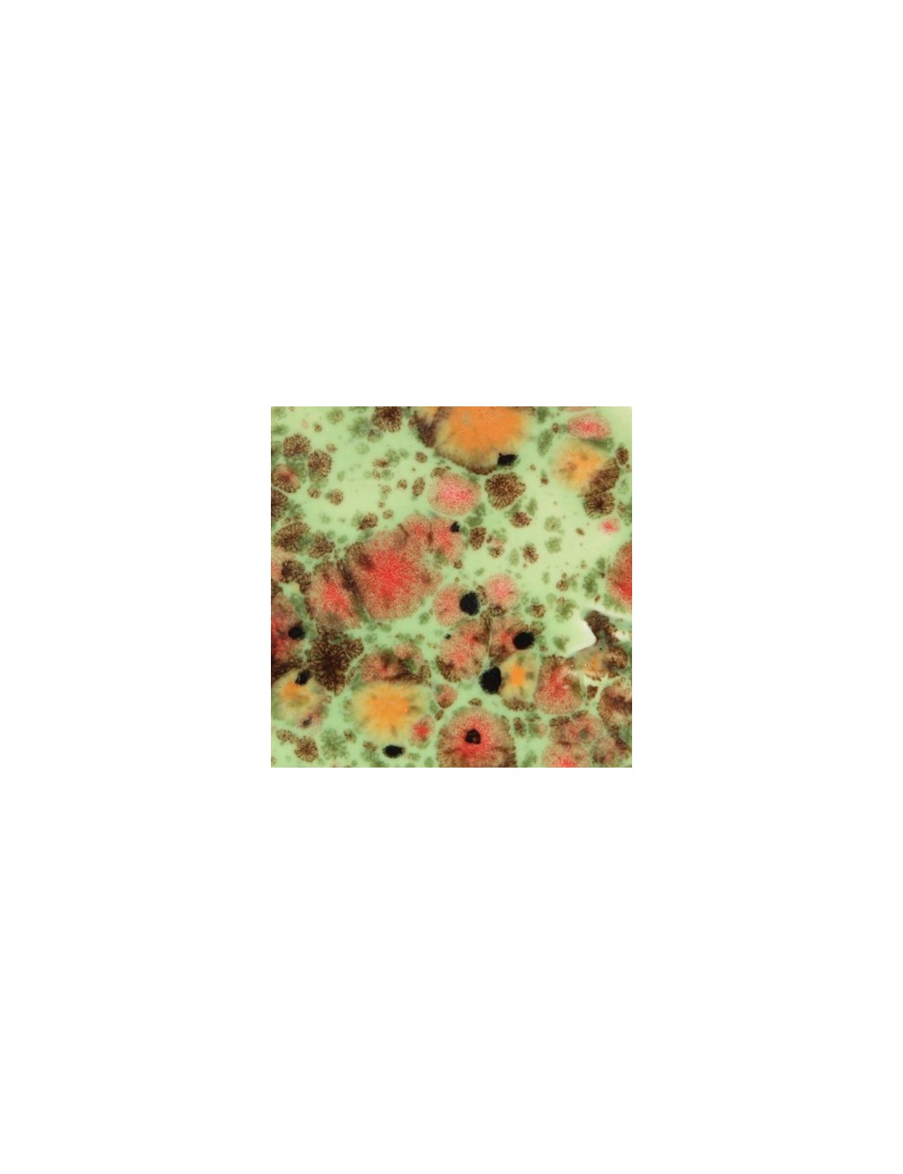 fruity freckles  CG-981  4 oz  6 units case