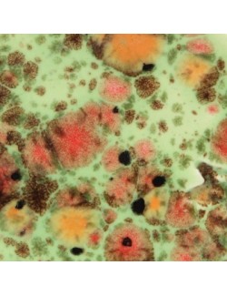 fruity freckles  CG-981  4 oz  6 units case