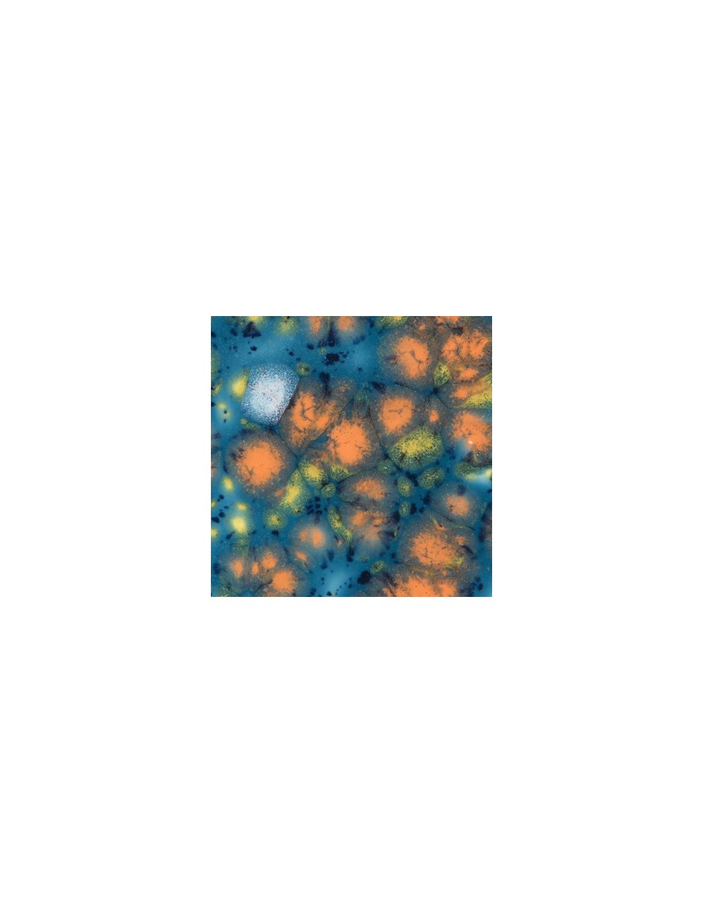 mixed melon CG-982  4 oz  envase de  6 unidades  