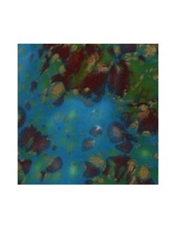 ladybug CG-984  4 oz