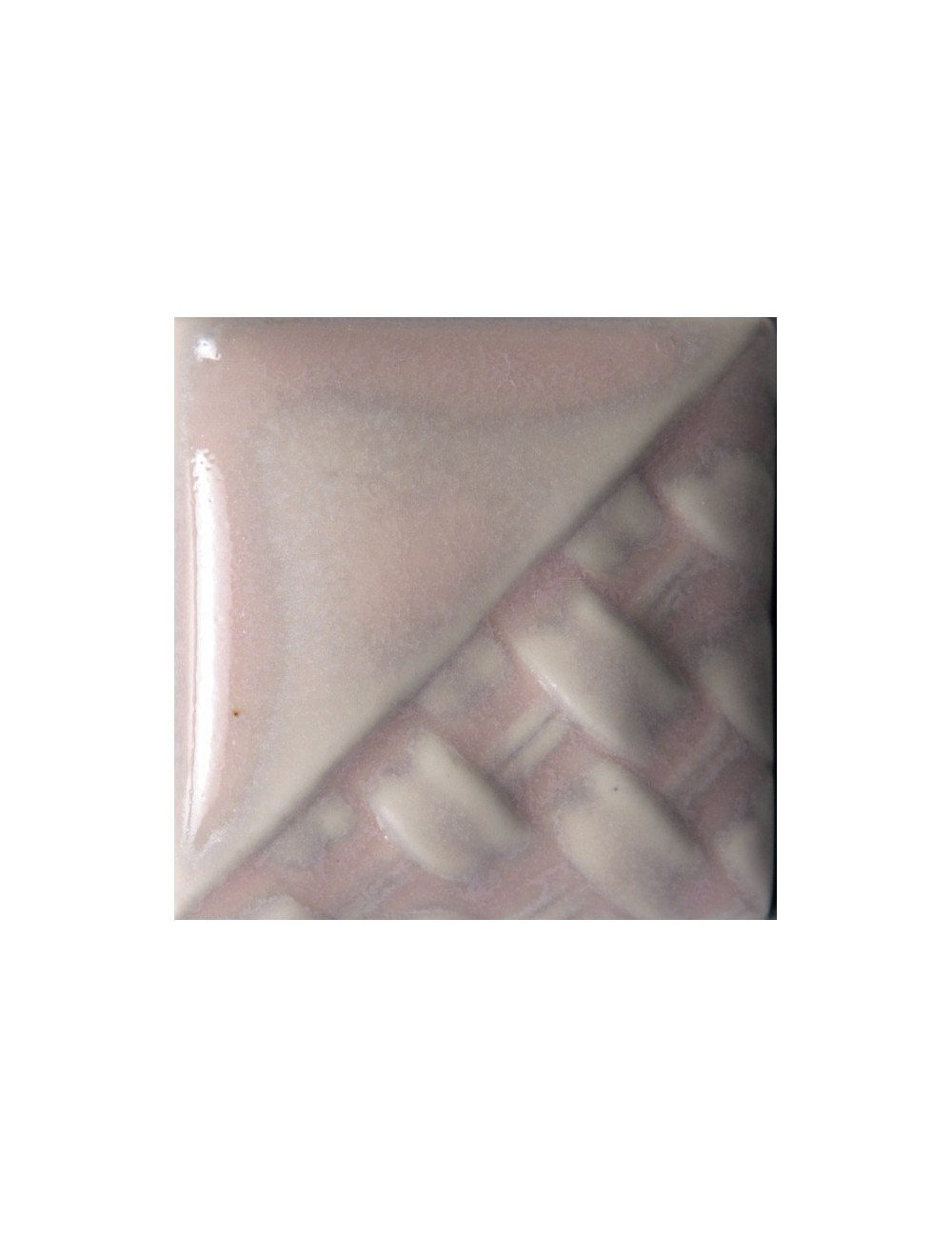 abalone  sw-143   1pinta