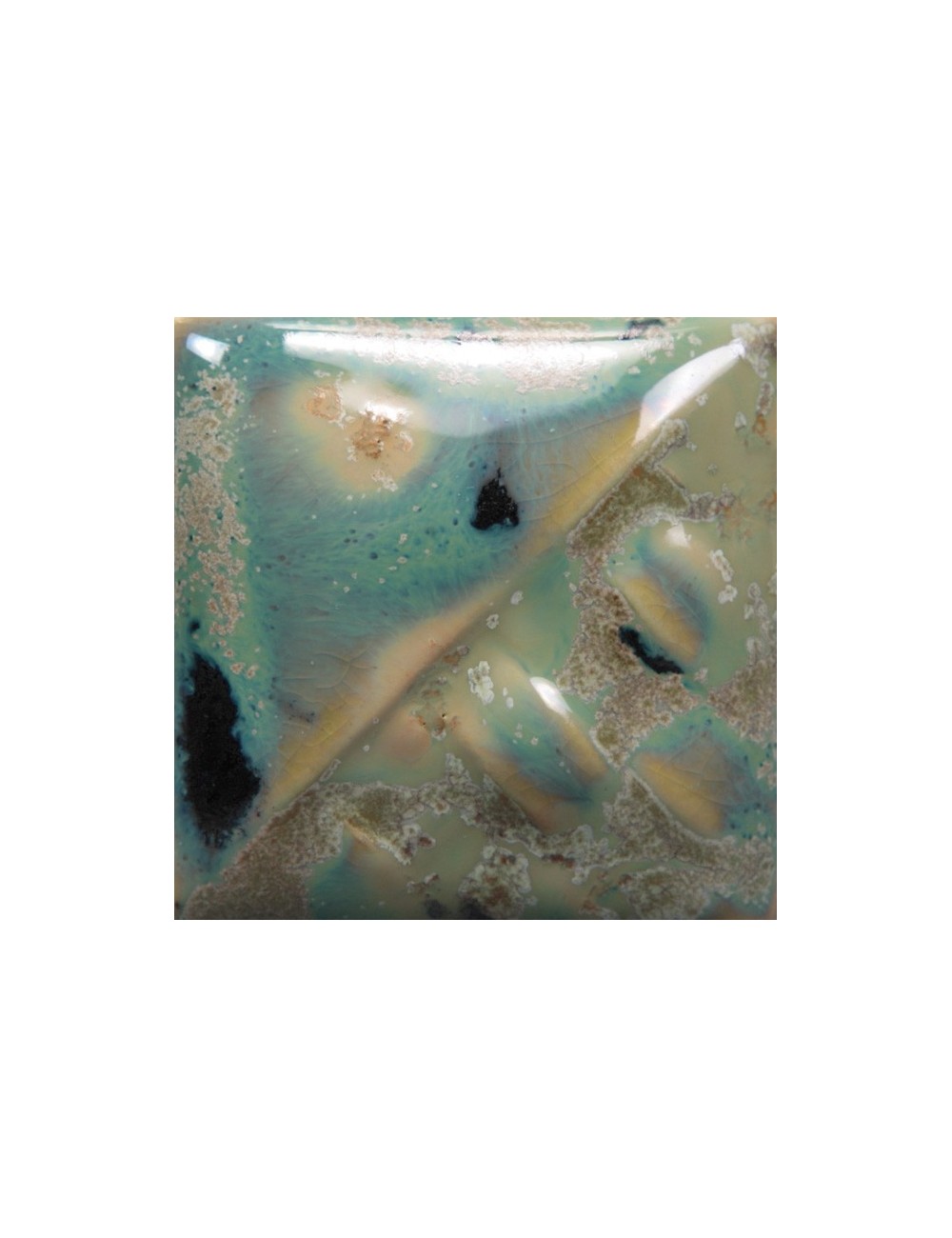 speckled plum sw-113    1pint
