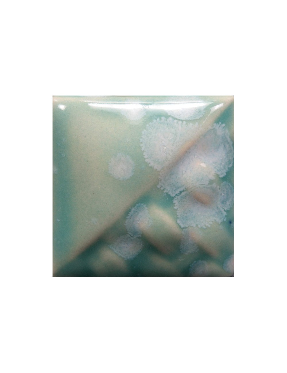 speckled plum sw-113    1pint
