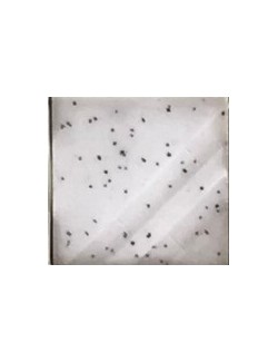 cubierta sin plomo brillante   s-2134 licorice spec 4 oz.