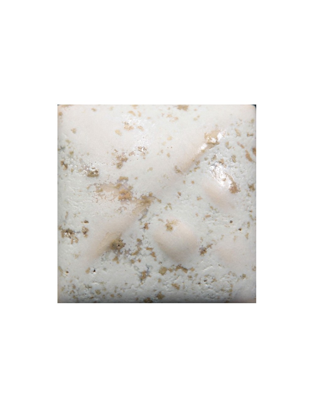 sea salt sw-118    1pinta
