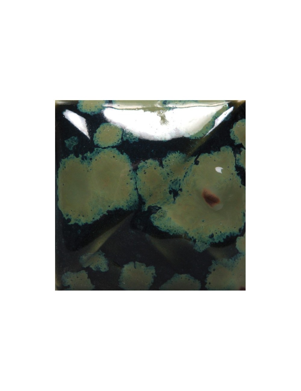 speckled plum sw-113    1pint