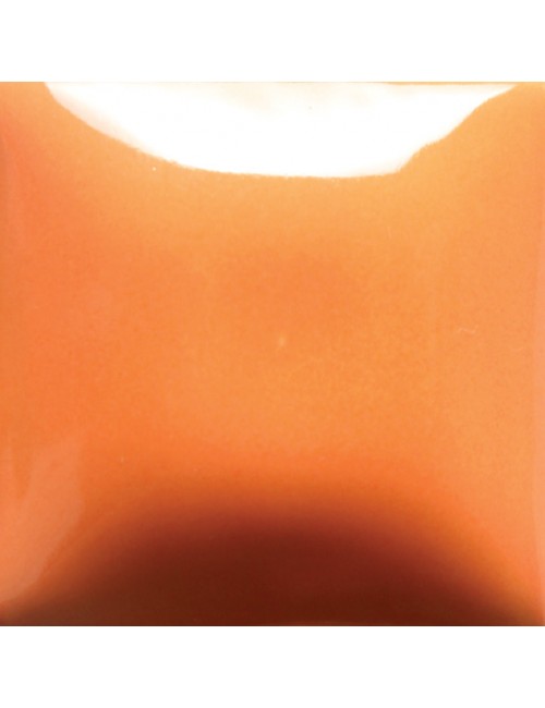 Pumpkin fn-040 pinta...