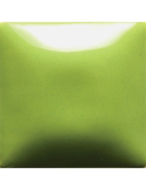 Pistachio fn-054 pinta...