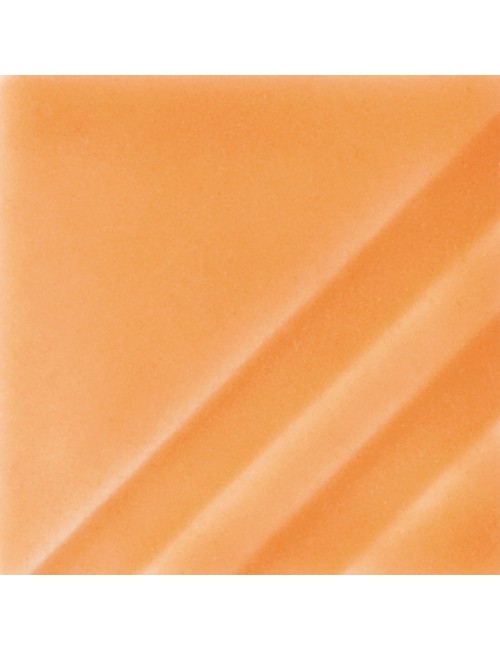 orange slice  fn-207  4 oz...