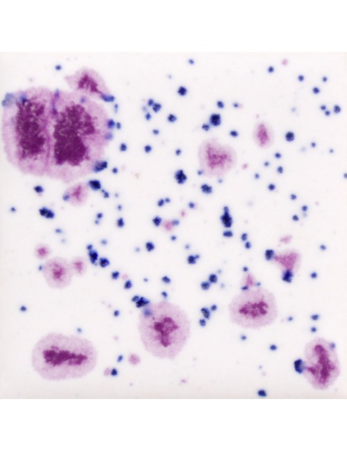 copy of Cherry Limeade...