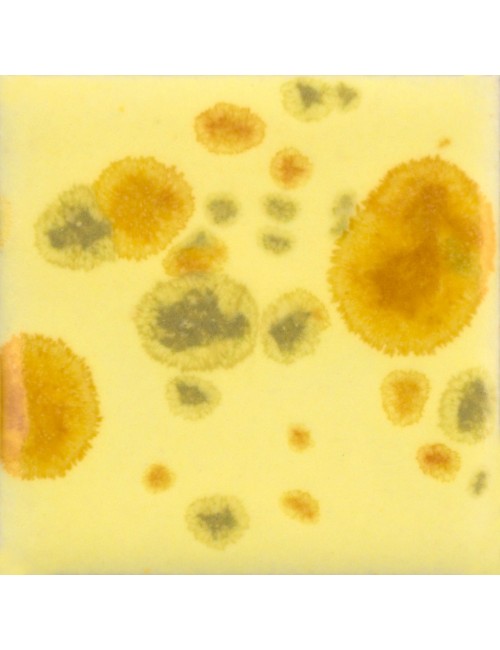 Maystack CG-1012   4 unit case