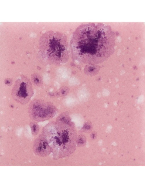 copy of Cherry Limeade...