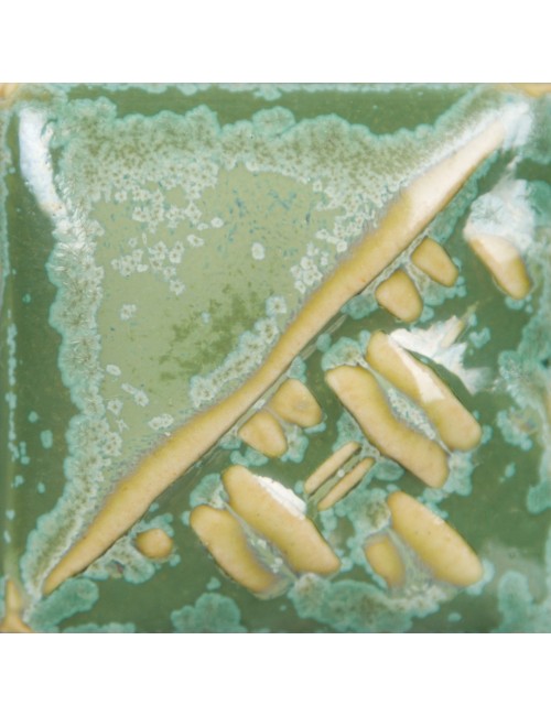 Ivy  sw-193   1pinta