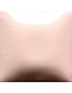 bing cherry  fn-030  4oz