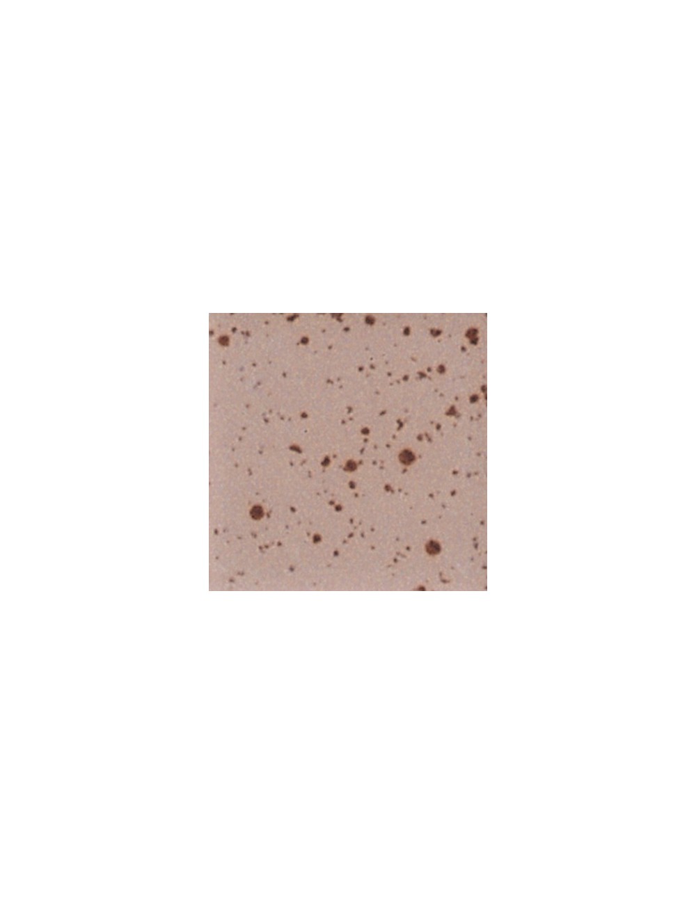 amethyst as-518  4 oz