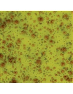 pagoda green   CG-716  4 oz