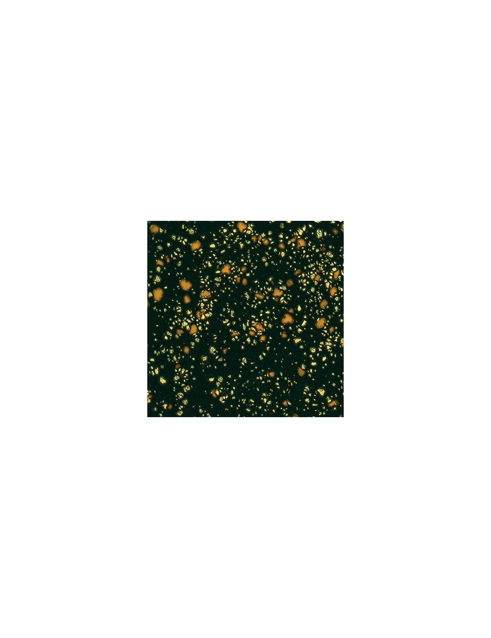 yadro print  CG-795  4 oz  envase de  6 unidades  