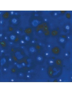 wildfire  CG-954  4 oz  envase de  6 unidades  