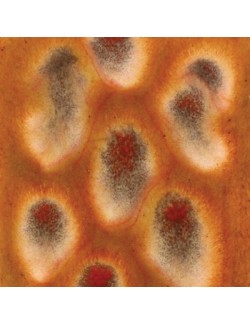 purple cosmos CG-971  4 oz