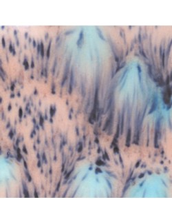 peacock eyes  s-2701  4 oz  envase de  6 unidades  