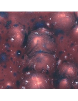 berryberry pie s-2703  4 oz