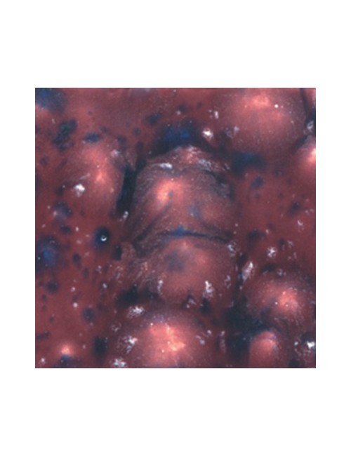 berryberry pie  s-2703  4 oz  6 units case