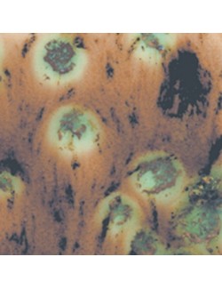 oriental carmel  s-2708  4 oz