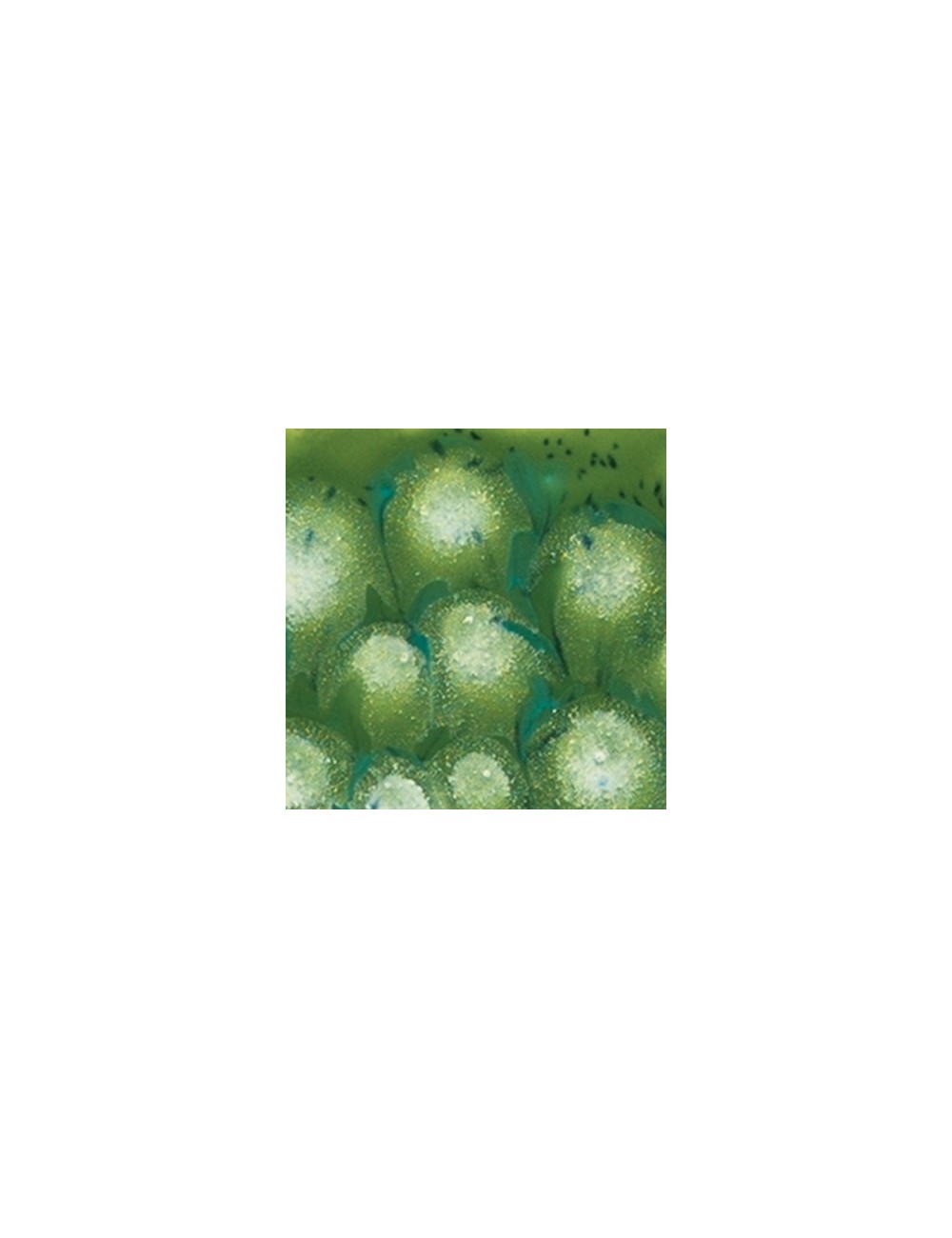 herb garden  s-2714  4 oz  6 units case