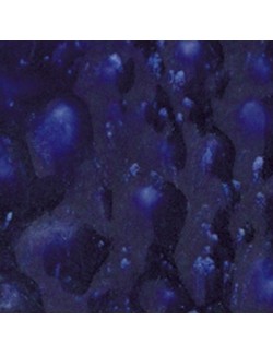 spotted kiwi s-2715  4 oz  envase de  6 unidades  