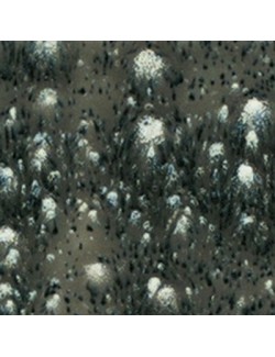 celestial blue  s-2716  4 oz  6 units case