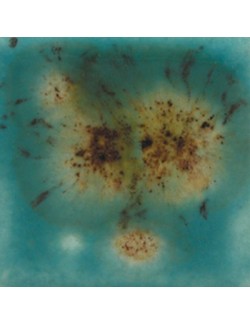 grape divine s-2723  4 oz  envase de  6 unidades  