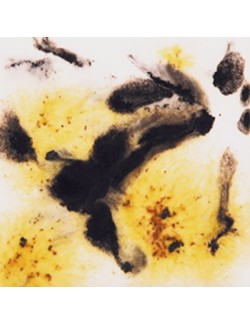 safari  s-2725  4 oz