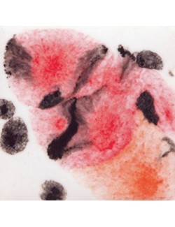 cheetah  s-2726  4 oz  6 units case