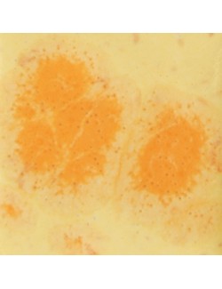 poppy fields  s-2727  4 oz  6 units case