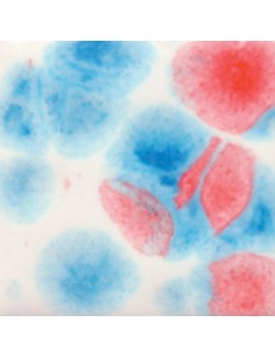 red halo  s-2730  4 oz  6 units case